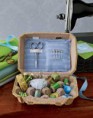 /album/cachivaches/sewing-kit-de-1-jpg/